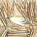 Multiple Artists Gallery